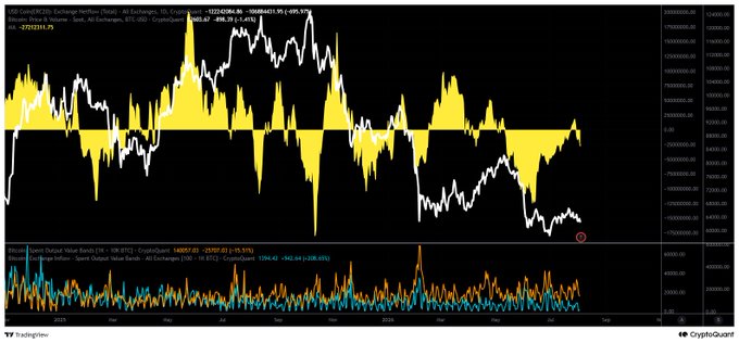 A CryptoQuant TradingView chart displaying Bitcoin (BTC) exchange netflow data, showing yellow histogram bars and a price line with current value around $98,000 and a -0.56% change.