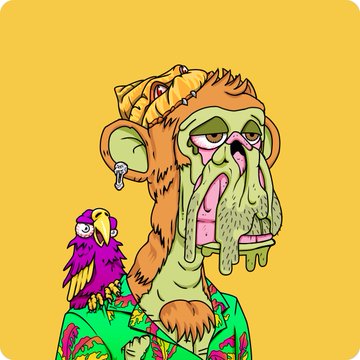 A cartoon illustration of a green-skinned character wearing a lion hat with a purple and yellow parrot perched on their shoulder against a yellow background.