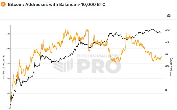 A chart titled 'Bitcoin: Addresses with Balance > 10,000 BTC' showing the number of addresses on the left axis and BTC price (USD) on the right, with a Bitcoin Magazine PRO watermark.
