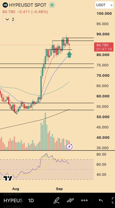 A TradingView chart of HYPE/USDT Spot shows the token trading at $84,780 with a slight 0.48% decline, displaying bullish momentum above key support levels near $80,000. The post suggests HYPE could reach $100 within the next week, which would require breaking above the current resistance visible around the $85,000–$90,000 zone.