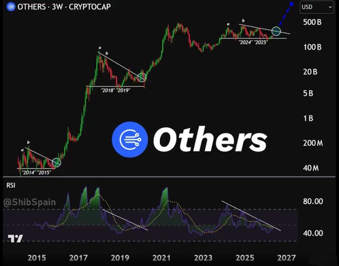 A cryptocurrency chart titled 'OTHERS - 3W - CRYPTOCAP' from @ShibSpain, showing price trends from 2014 to projected 2027, with annotations marking cycle patterns and an RSI indicator below.