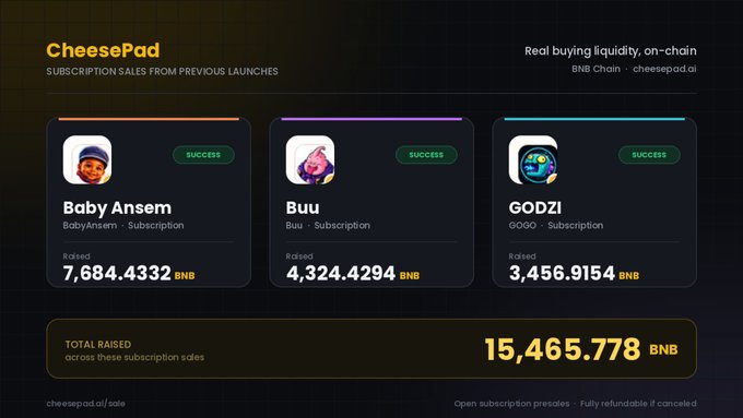 A screenshot of "CheesePad" website showing subscription sales results with three successful entries: "Baby Anselm" (7,684.4332 BNB), "Buu" (4,324.4294 BNB), and "GODZi" (3,456.9154 BNB), totaling 15,465.778 BNB raised on BNB Chain.