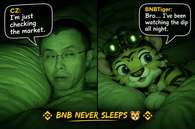 A split-panel meme with a green night-vision filter showing CZ (Changpeng Zhao) in bed saying 'I'm just checking the market,' alongside a BNB Tiger character wearing night-vision goggles saying 'Bro... I've been watching the dip all night,' with the text 'BNB NEVER SLEEPS'.