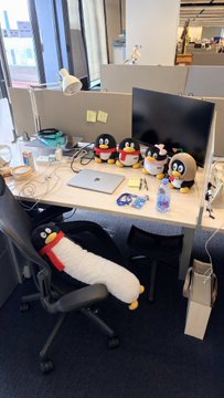 Office cubicle desk decorated with a row of small plush penguin toys, a black office chair holding a larger red penguin plush, alongside a laptop, monitor, water bottle, and desk lamp.