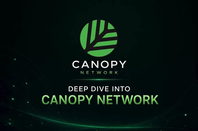 Canopy Network promotional graphic with green leaf logo on a dark background, featuring text reading 'Deep Dive into Canopy Network'.