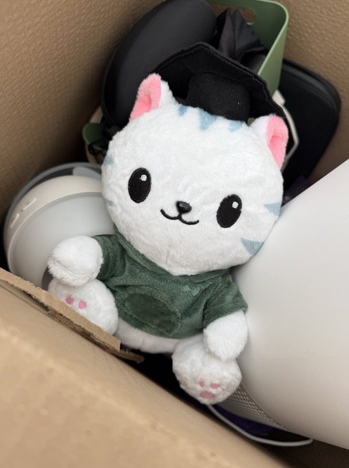 A cute white plush cat with pink ears and a black cap, wearing a green hoodie, sits among packing materials and headphones inside a moving box. The image playfully ties into the caption by suggesting the plush—named "Hypurrliquid" after the meme mascot of the Hyperliquid crypto exchange—is one of the essential items saved amid the chaos of moving.