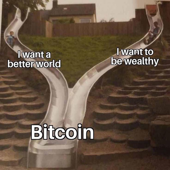 A meme showing two children on separate metal slides labeled 'I want a better world' and 'I want to be wealthy' that merge into a single slide labeled 'Bitcoin'.