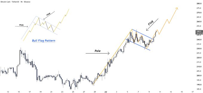 A 4-hour BCH/USDT candlestick chart on Binance from late June to mid-July illustrates a textbook Bull Flag pattern, with the "Pole" representing the sharp upward impulse, the "Flag" marking the downward-sloping consolidation channel, and a subsequent breakout that aligns with the post's call for follow-through above $275.