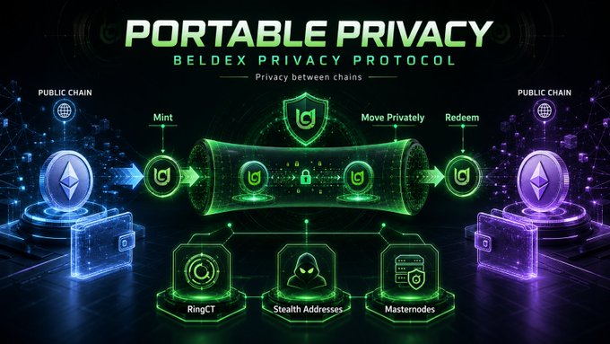 A neon-styled infographic titled 'PORTABLE PRIVACY - BELDEX PRIVACY PROTOCOL' showing a flow from Public Chain through Mint, Move Privately, to Redeem, with components RingCT, Stealth Addresses, and Masternodes.