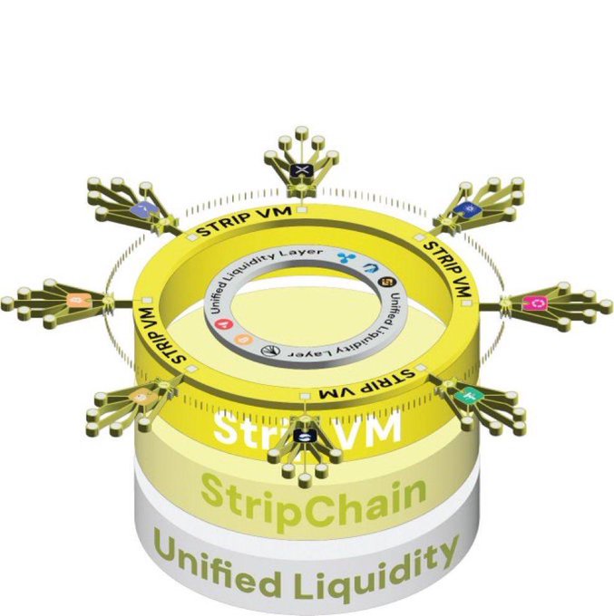 A 3D architectural diagram of the 'StripVM' and 'StripChain' ecosystem, highlighting the 'Unified Liquidity Layer' with connected nodes.