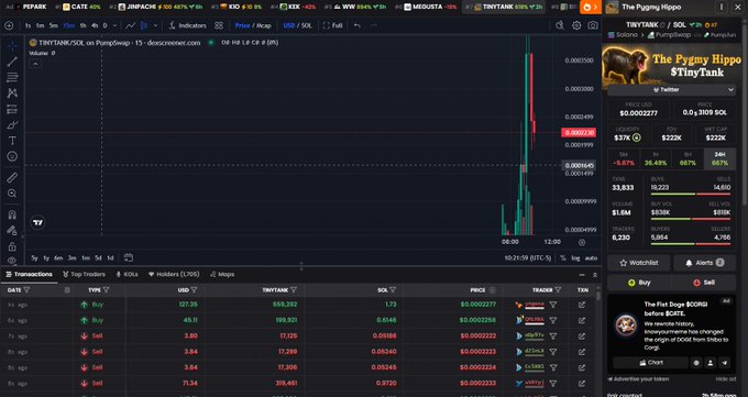 A screenshot of a crypto trading interface showing a chart for TINYTANK/SOL on the pair TIBY/SOL PumpSwap with significant price volatility and buy/sell transaction logs below, alongside a token profile for 'The Pygmy Hippo' ($Tinytank) on the right.
