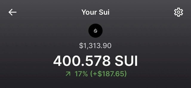 A dark-themed mobile wallet screen displaying a balance of '400.578 SUI' valued at '$1,313.90', showing a 17% increase (+$187.65).