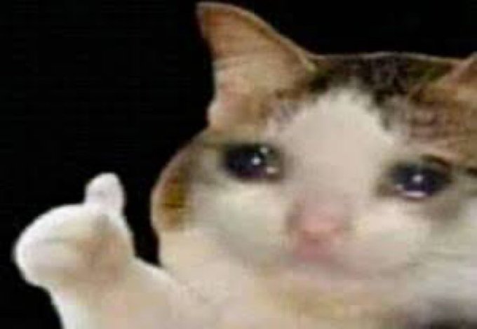 A close-up photograph of a crying white and tabby cat with tears in its eyes, raising its paw as if to comfort someone.