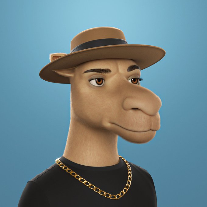 A 3D-rendered camel character wearing a brown fedora hat, a black t-shirt, and a gold chain necklace, set against a plain blue background.