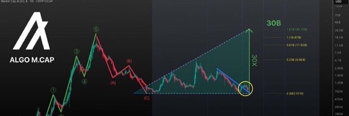 A technical analysis chart of Algorand ($ALGO) market cap displayed on a weekly timeframe, featuring Elliott Wave-style wave counts (1-6, A-C) and a projected breakout showing a 30x rally target to a 30B market cap from the current ~$862.07M, with Fibonacci retracement levels marked at 0.786, 0.618, 0.5, 0.382, and 0.236.