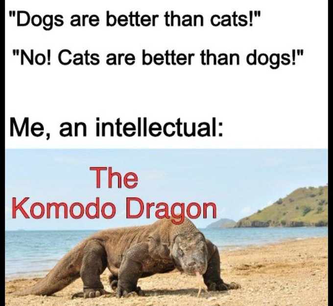 A meme featuring text 'Dogs are better than cats!' 'No! Cats are better than dogs!' followed by 'Me, an intellectual: The Komodo Dragon' over an image of a Komodo dragon.