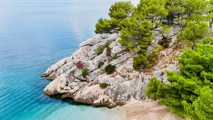 A scenic coastal landscape showing turquoise water meeting rocky cliffs topped with green pine trees.