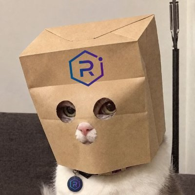 A white cat wearing a brown paper bag over its head with eye holes cut out, branded with a blue 'Ri' hexagon logo, with a matching Ri tag on its collar.