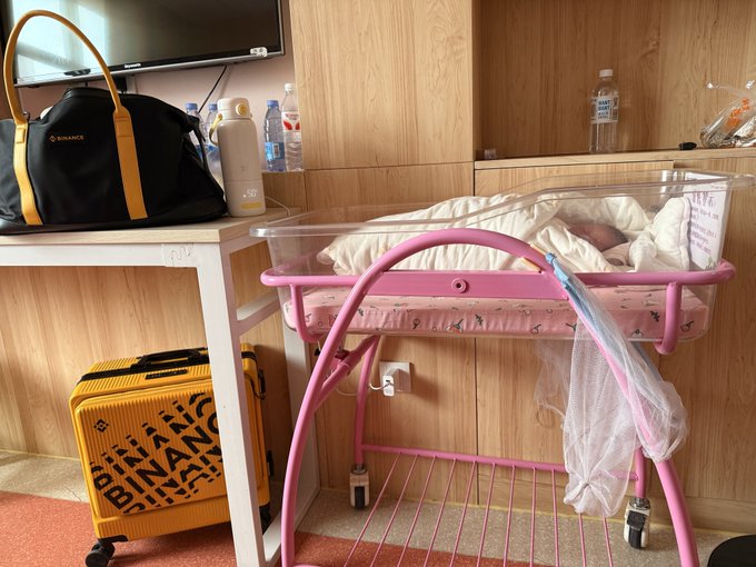 A pink-framed clear baby bassinet holds a resting newborn in a wood-paneled room, with a bag, bottles, a suitcase, and other household items nearby.
