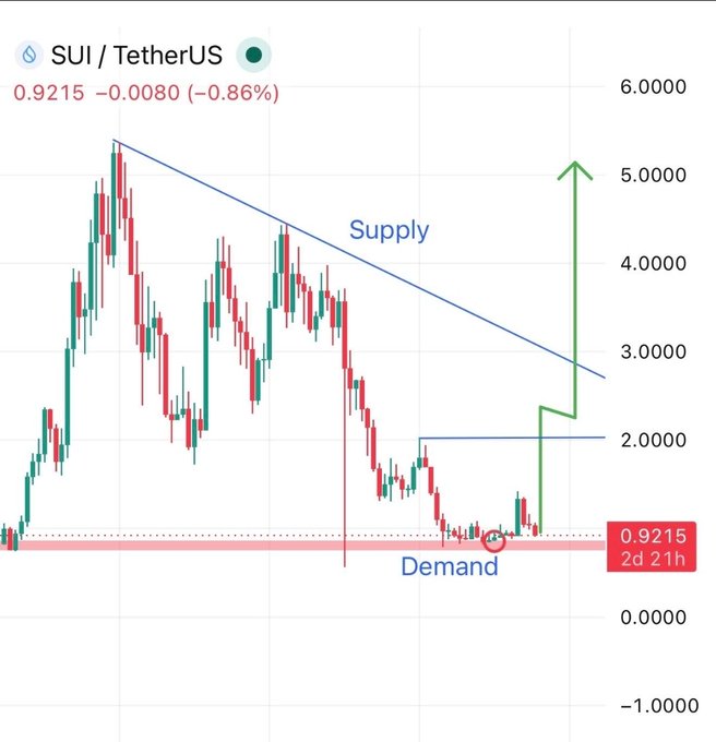 This image displays a chart with a green line pointing downwards while indicating the demand of an item, possibly related to cryptocurrency or Bitcoin. The text in the image provides details about the price movements for this item. There's also some information on a website called "Sui/TetherUS", which might be related to trading or analyzing cryptocurrency trends.