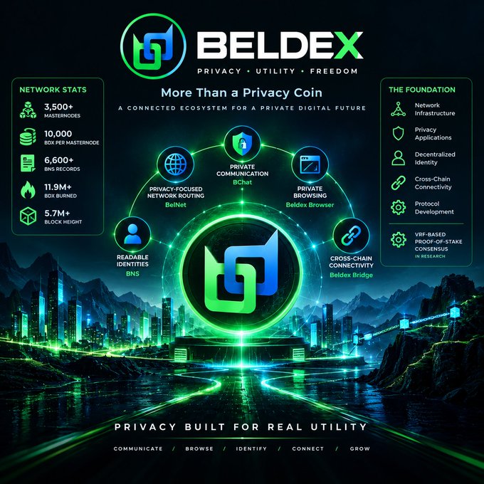 An infographic for 'BELDEX' titled 'More Than a Privacy Coin', showing network statistics and a connected ecosystem including 'BChat', 'Beldex Browser', and 'Beldex Bridge'.