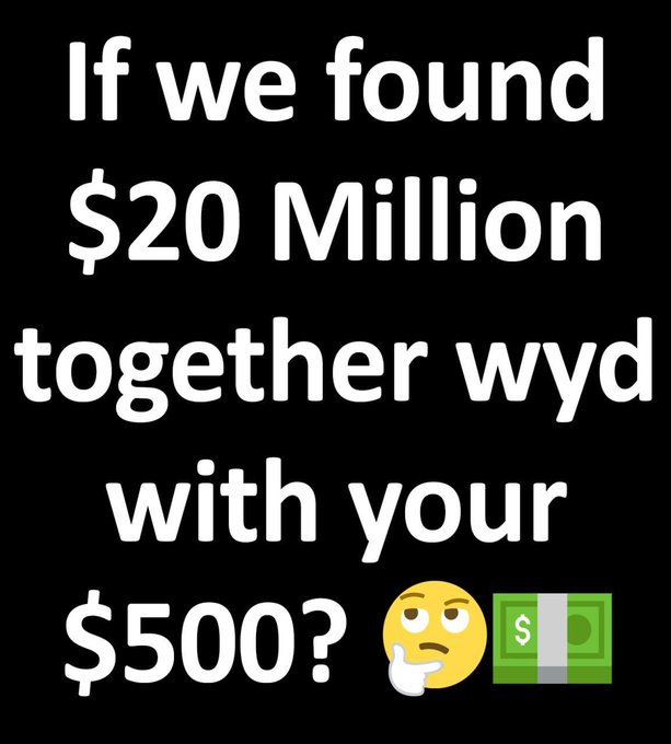 A black text graphic reads 'If we found $20 Million together wyd with your $500?' accompanied by a thinking face emoji and a money emoji.