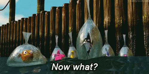 A shark and smaller fish are floating in plastic bags against a wooden pier, with the text "Now what?" displayed at the bottom—parodying Finding Nemo's iconic "fish in a bag" scene to humorously convey the frustration of being trapped in a leveraged Bitcoin long position with no price movement.