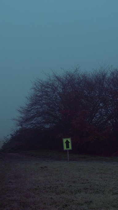 A moody, dark photograph of a bare tree silhouetted against a foggy blue sky, with a small green road sign depicting a house symbol in the foreground.