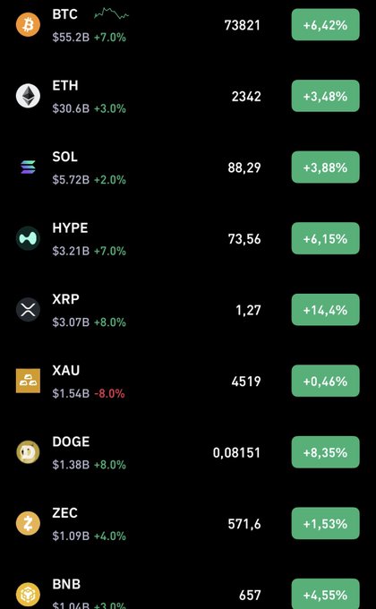 A cryptocurrency price list showing BTC at $73,821 (+6.42%), ETH at $2,342 (+3.48%), SOL at $88.29 (+3.88%), HYPE at $73.56 (+6.15%), XRP at $1.27 (+14.4%), DOGE at $0.08151 (+8.35%), and several others with their respective gains and market caps.