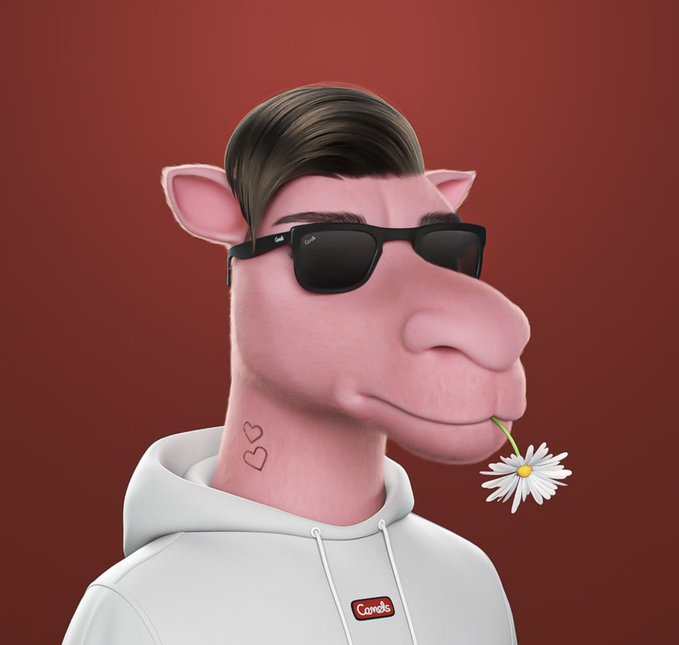 A 3D-rendered cartoon character with a horse-like head, wearing sunglasses and a white 'Comets' hoodie, holding a daisy in its mouth against a red background.
