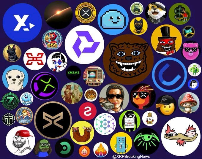 A collage of numerous circular cryptocurrency logos and memes, primarily featuring XRP-related items, including the XRP logo, a photoshopped XRP seal, and the character Scatman John, watermarked '@XRPBreakingNews'.