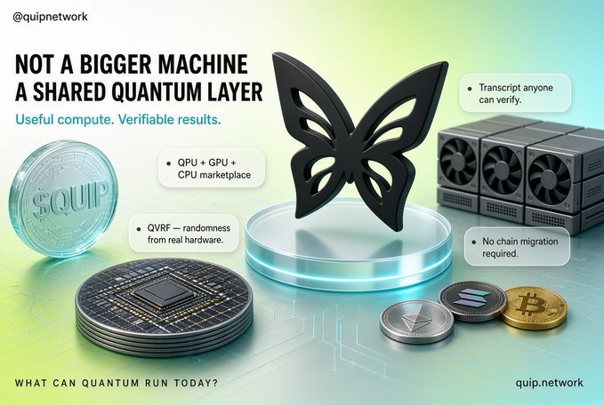 The image is a promotional graphic for Quip Network (@quipnetwork) featuring a black butterfly on a glowing platform, a $QUIP token, hardware, and crypto coins, with text reading "NOT A BIGGER MACHINE, A SHARED QUANTUM LAYER" and highlighting features like "QPU + GPU + CPU marketplace," "QVRF — randomness from real hardware," "Transcript anyone can verify," and "No chain migration required."

The graphic visually supports the post's thesis by illustrating Quip's pivot from building a single quantum supercomputer toward a distributed marketplace of quantum resources—the butterfly (symbolizing transformation) and surrounding hardware/coins emphasize that the breakthrough lies in shared, verifiable compute rather than bigger isolated machines.