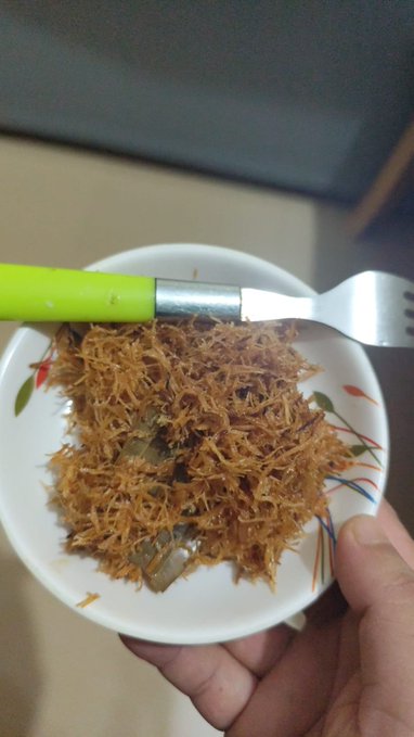 A hand holding a white bowl containing what appears to be a crispy, shredded food dish, with a green-handled fork resting on top.