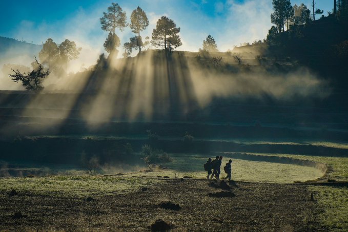 The image features two people walking through a field with trees in the background. The sun is shining brightly, creating a beautiful scene of light and shadow as it passes over the landscape. The photo has been captioned by @quipnetwork, who seems to be interested in the content or message behind the image.