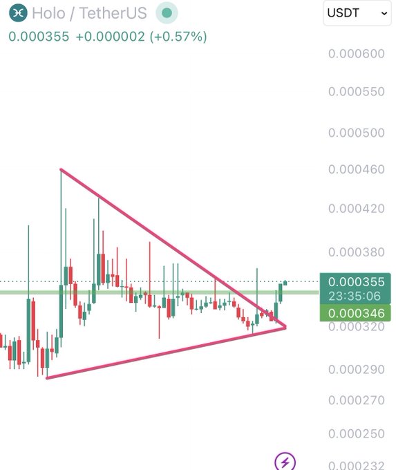 A cryptocurrency candlestick chart for 'Holo / TetherUS' showing a symmetrical triangle pattern drawn in pink, with a current price of 0.000355 USDT.