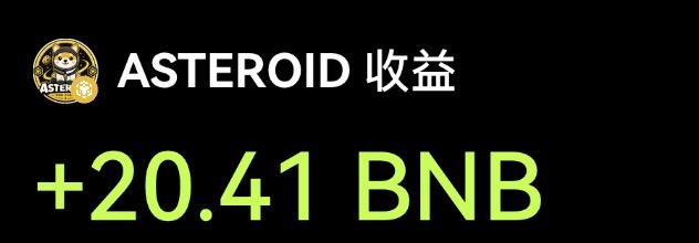 A meme-themed graphic showing "ASTEROID 收益 +20.41 BNB" in bright green text on a black background, alongside a small Space Dog logo. It illustrates the poster's impressive earnings of 20.41 BNB from trading the Asteroid token associated with TST, despite describing themselves humorously as eating "more Meme" rather than Meme coins.