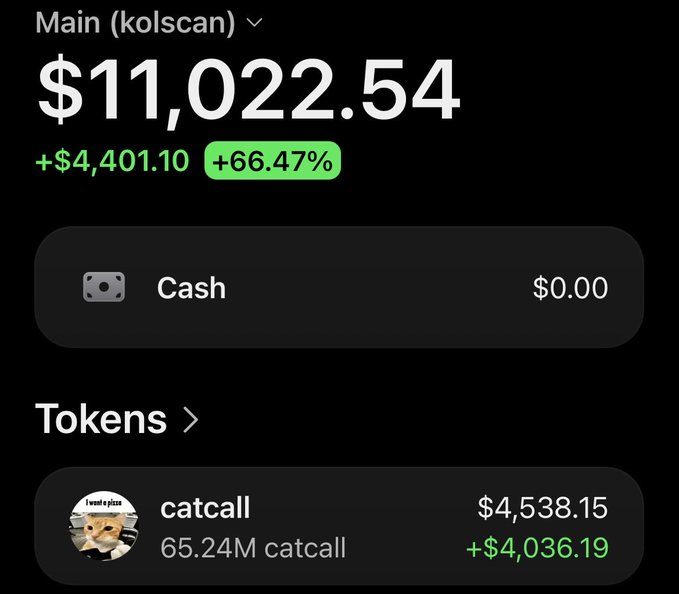 A crypto portfolio dashboard shows a "Main (kolscan)" wallet with a balance of $11,022.54, up +$4,401.10 (+66.47%), with $0 cash and the only visible token being 65.24M $catcall valued at $4,538.15 (+$4,036.19). The image illustrates the sender's $catcall holdings, supporting their post about sending 6% of the $catcall supply to a recipient with plans to drive it to multimillions.