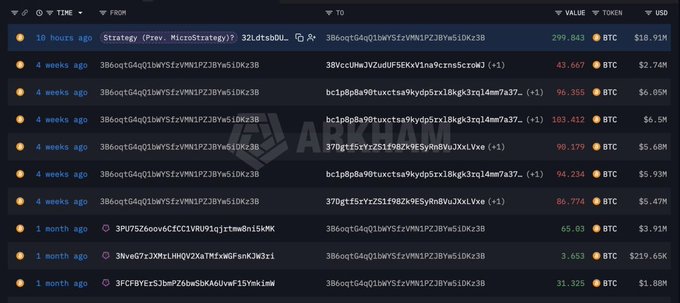 A dark-themed blockchain transaction tracking interface showing multiple entries with timestamps, transaction hashes, USD values, and BTC values, with the largest value being 299.843 BTC ($10.91M) from 10 hours ago.
