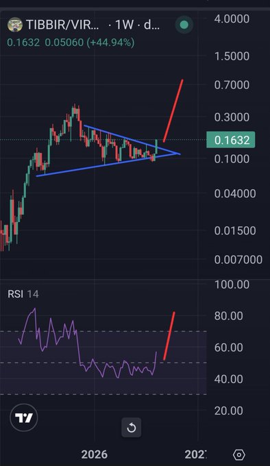 A TradingView weekly chart for $TIBBIR showing a symmetrical triangle breakout, with price surging +44.94% to 0.1632 and an RSI 14 climbing out of oversold territory, capturing the bullish breakout moment referenced in the post.