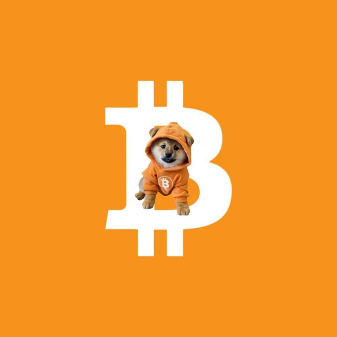 A Shiba Inu dog wearing an orange Bitcoin-themed hoodie, positioned in front of a large white Bitcoin logo on an orange background.