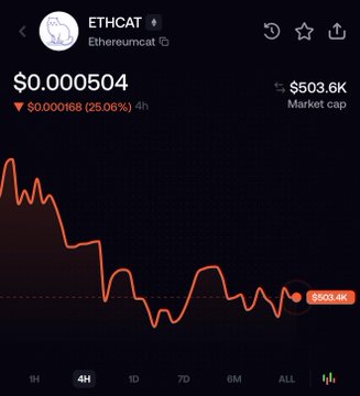 The image shows a 4-hour price chart for the meme coin **$ETHCAT (Ethereumcat)**, trading at $0.000504 with a market cap of **$503.6K**, down 25.06% in 4 hours. The chart illustrates the poster's frustration about ETHCAT struggling to maintain its market cap while $BNBCAT surges, highlighting the disparity in performance between the two feline-themed meme coins.