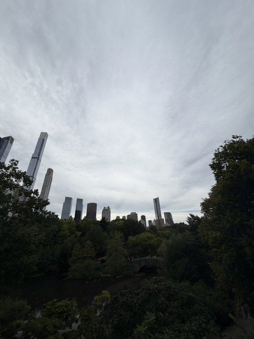 A scenic view of Central Park in New York City with a stone bridge over a pond, surrounded by green trees with the Manhattan skyline visible in the background under a cloudy sky.