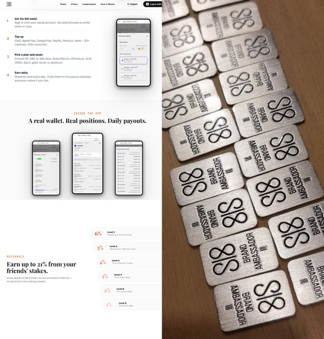 A split image showing a website on the left with phone mockups and text about a 'real wallet' and 'daily payouts,' and silver metal cards branded 'BRAND AMBASSADOR' arranged on a wooden surface on the right.