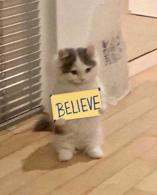 A small white and gray kitten stands on a wooden floor holding a yellow sign that reads "BELIEVE," reinforcing the post's message about the bullish conviction of the $MICHI community.