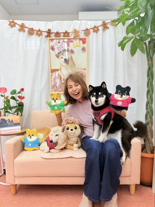 A smiling woman sitting on a peach-colored sofa holding a black and white Shiba Inu dog, surrounded by Shiba plush toys, Shiba Inu figurines, and a "Happy Birthday" banner in the background.