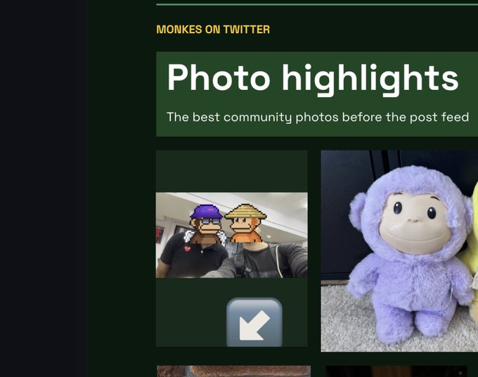 A webpage section titled 'MONKES ON TWITTER' displays 'Photo highlights' with the subtitle 'The best community photos before the post feed,' showing a photo of people with NFT monkey avatars and a purple plush toy.