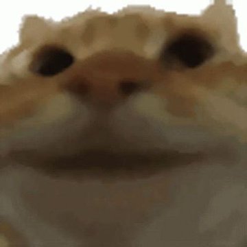 A heavily blurred close-up of an orange tabby cat's face is shown, bearing no visible text, numbers, tickers, or names—seemingly unrelated to the accompanying $YEP Solana token post and its contract address.