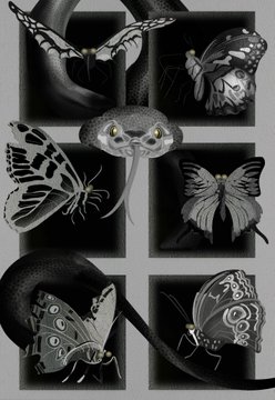 A collage of black and white images featuring butterflies and a snake, with yellow-eyed details on the creatures in the dark, shadowed composition.