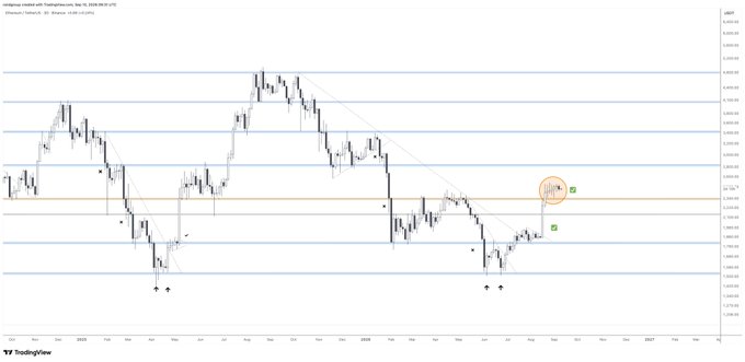 A candlestick chart from TradingView displaying Hedgehog (HGH) on the Ethereum mainnet in USD, with price levels ranging approximately from $0.0240 to $0.0480 and key horizontal support/resistance lines marked across the timeline.