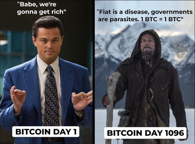 A two-panel meme contrasting a sharply dressed Leonardo DiCaprio ("Babe, we're gonna get rich") labeled "BITCOIN DAY 1" with a disheveled, bearded Leonardo DiCaprio in the snow ("Fiat is a disease, governments are parasites. 1 BTC = 1 BTC") labeled "BITCOIN DAY 1096".